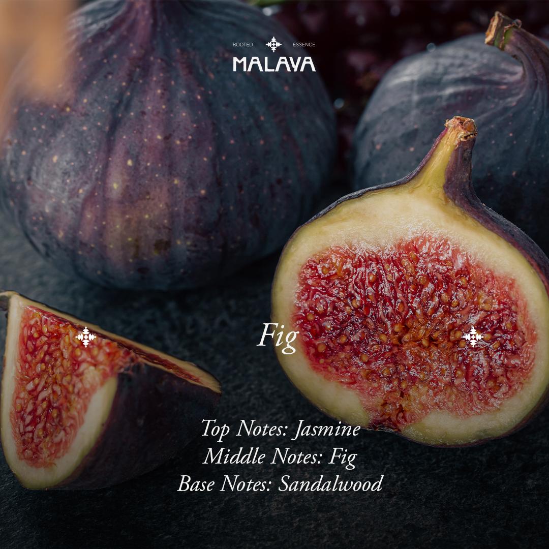 Fig