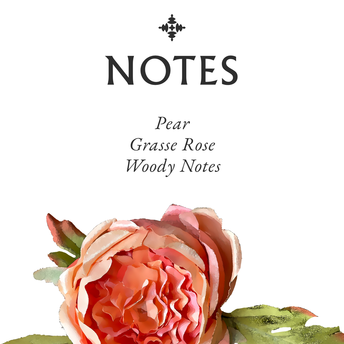Grasse Rose
