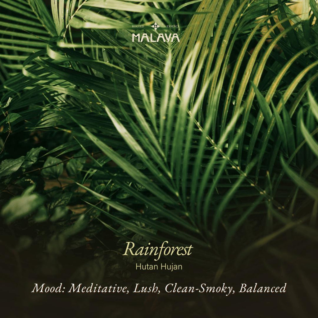 Rainforest