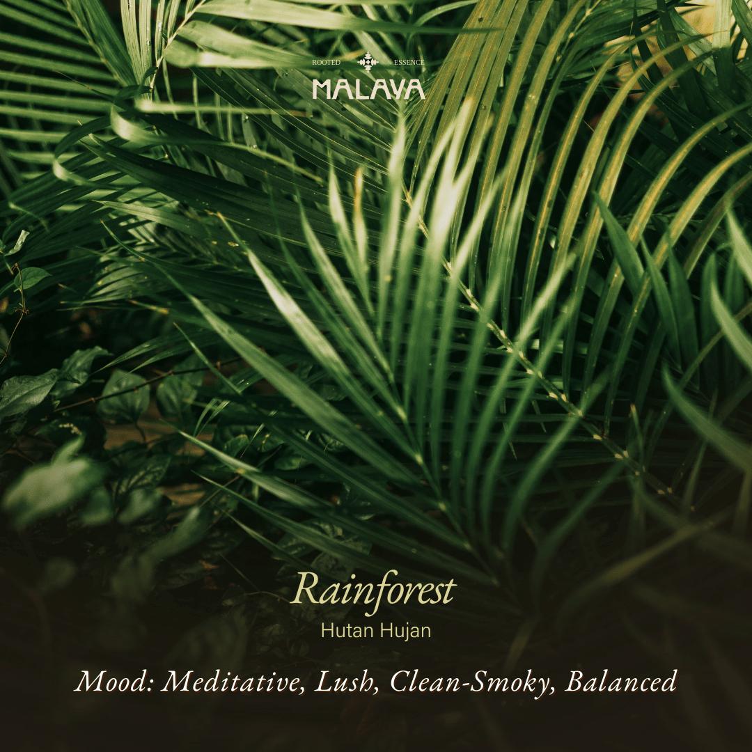 Rainforest