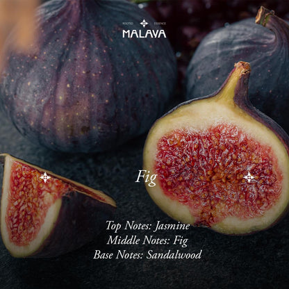 Fig