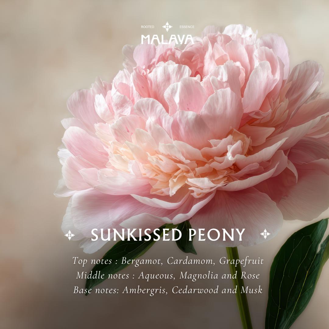 Sunkissed Peony