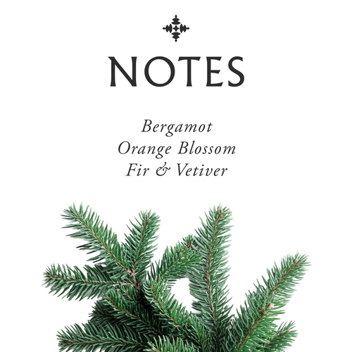 Fir & Vetiver