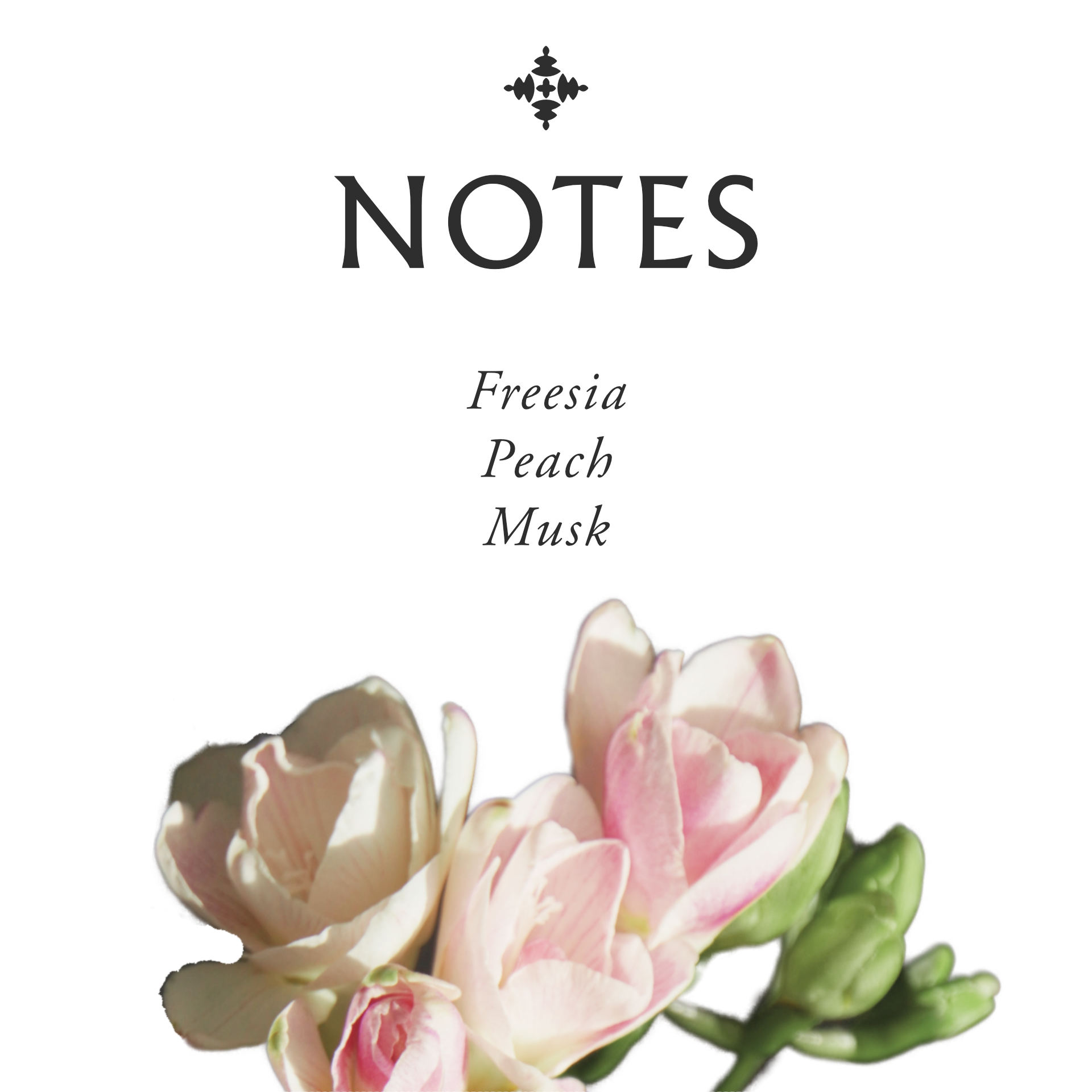 Freesia