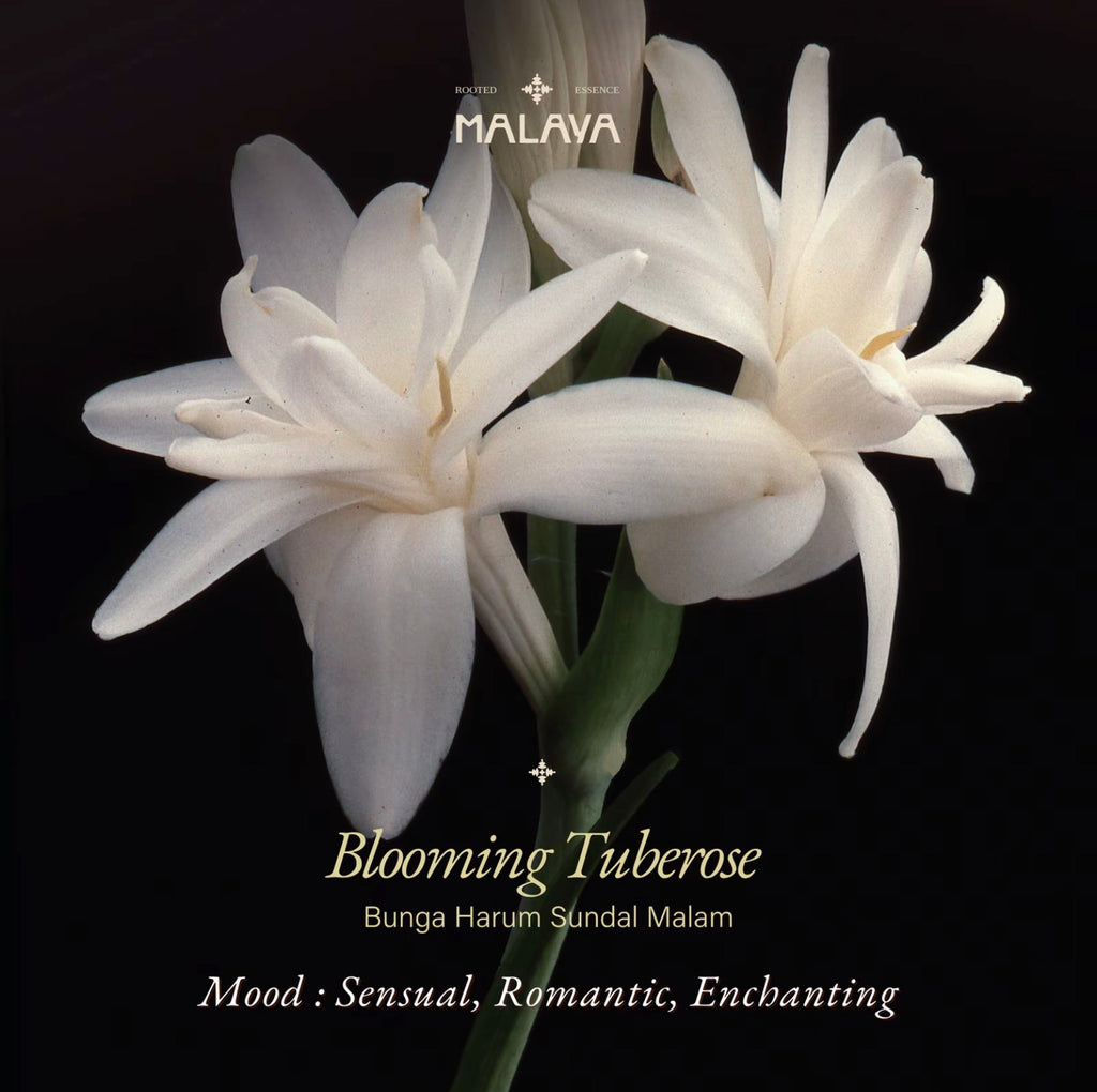 Blooming Tuberose