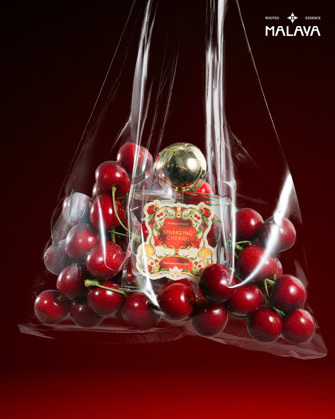 Sparkling Cherry