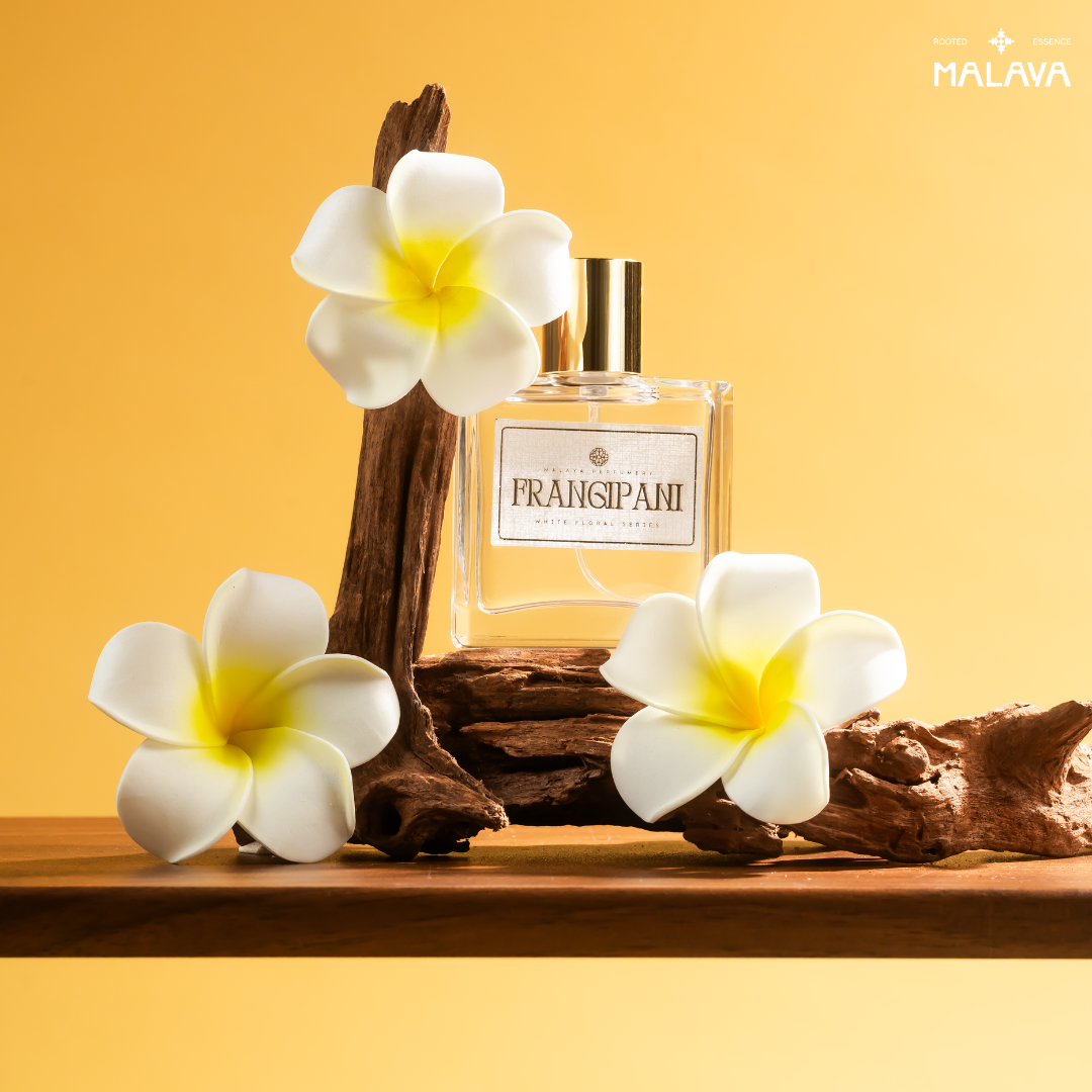 Frangipani