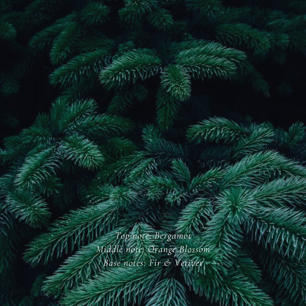 Fir & Vetiver