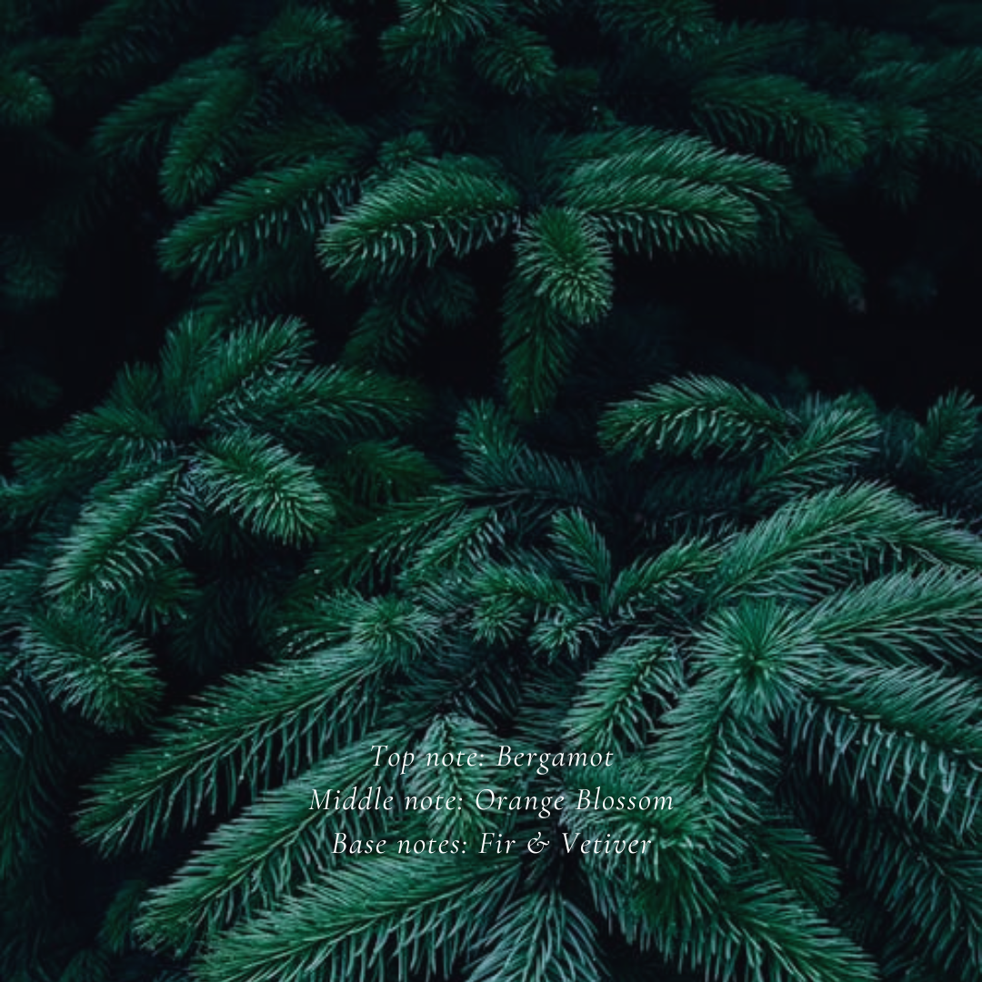 Fir & Vetiver