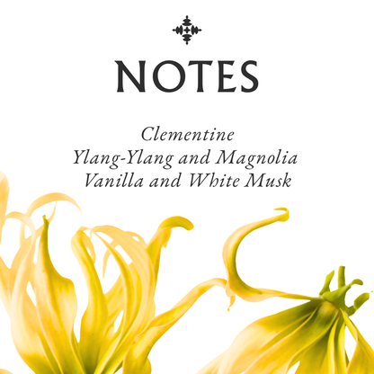Ylang Ylang Vanilla Musk